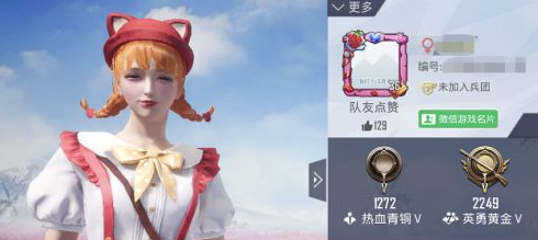 和平精英头像不显示怎么解决