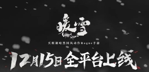 暖雪手游支持手柄吗