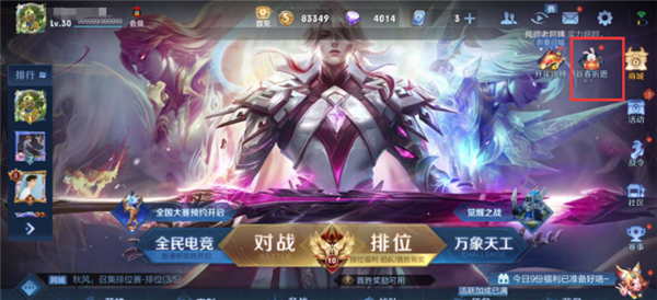 王者荣耀个性祈愿币在哪里用