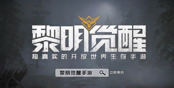 黎明觉醒兑换码在哪填