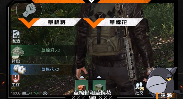 黎明觉醒草棉哪里多