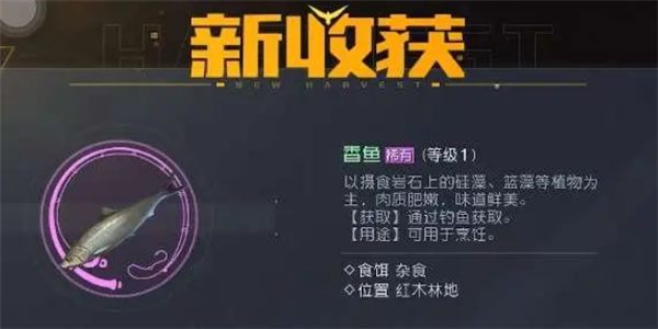 黎明觉醒香鱼在哪钓