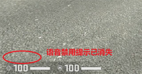 CSGO语音按键按了没反应怎么办