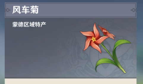 原神风车菊采集点大全