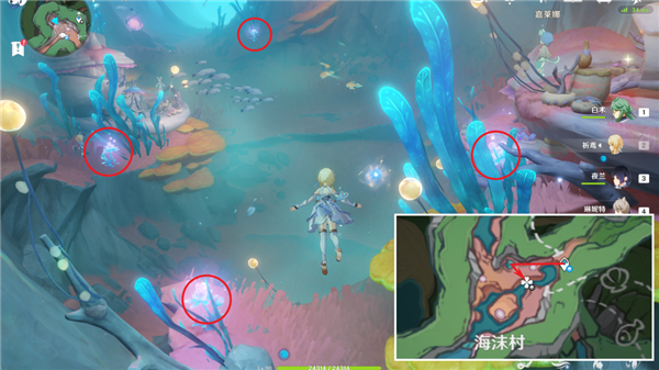 原神海露花在哪里采集