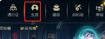 英雄联盟勋章最高几级