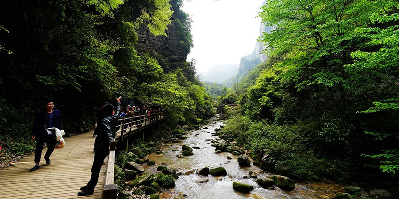 张家界大峡谷坠石