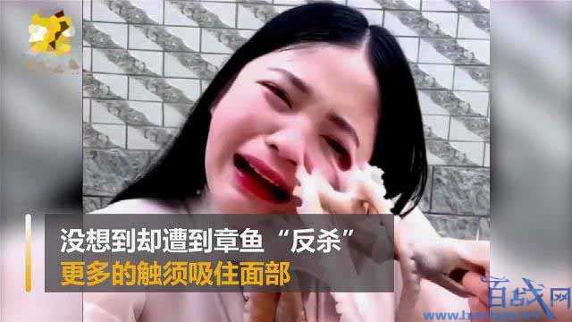 直播吃活章鱼被反杀