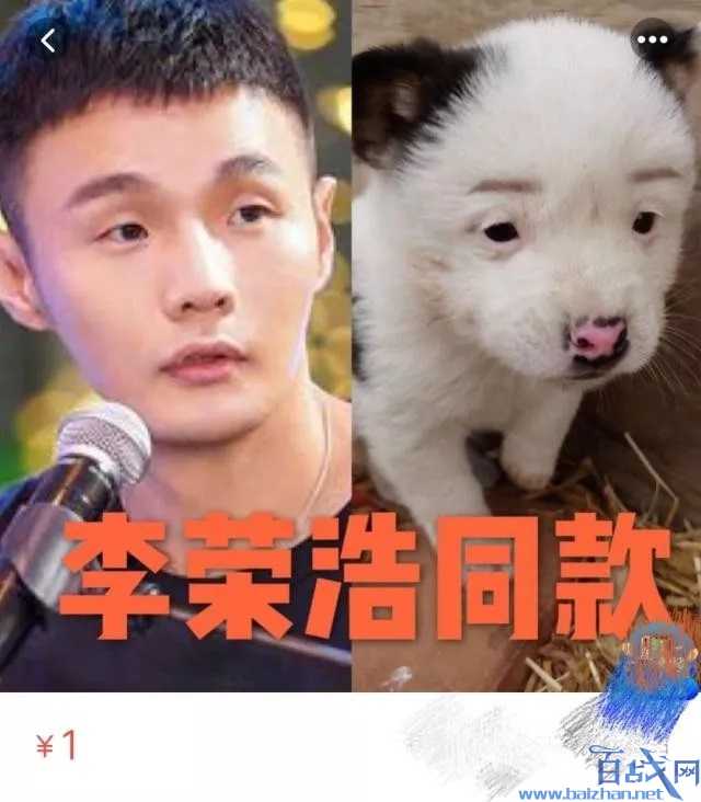 李荣浩同款狗狗